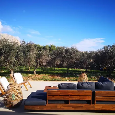 Ostro * Favignana