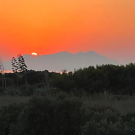 Ostro * Favignana