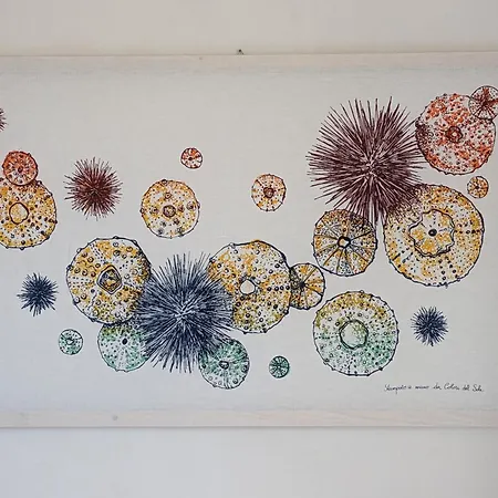 Vila Ostro Favignana